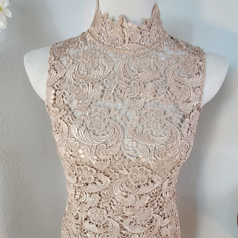 NWOT GRACIA Champagne Floral Lace Cocktail Sheath Dress Wedding Guest Elegant - Picture 8 of 16